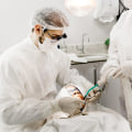 When Time Matters: Seeking An Emergency Dentist For Oral Surgery In Kansas City